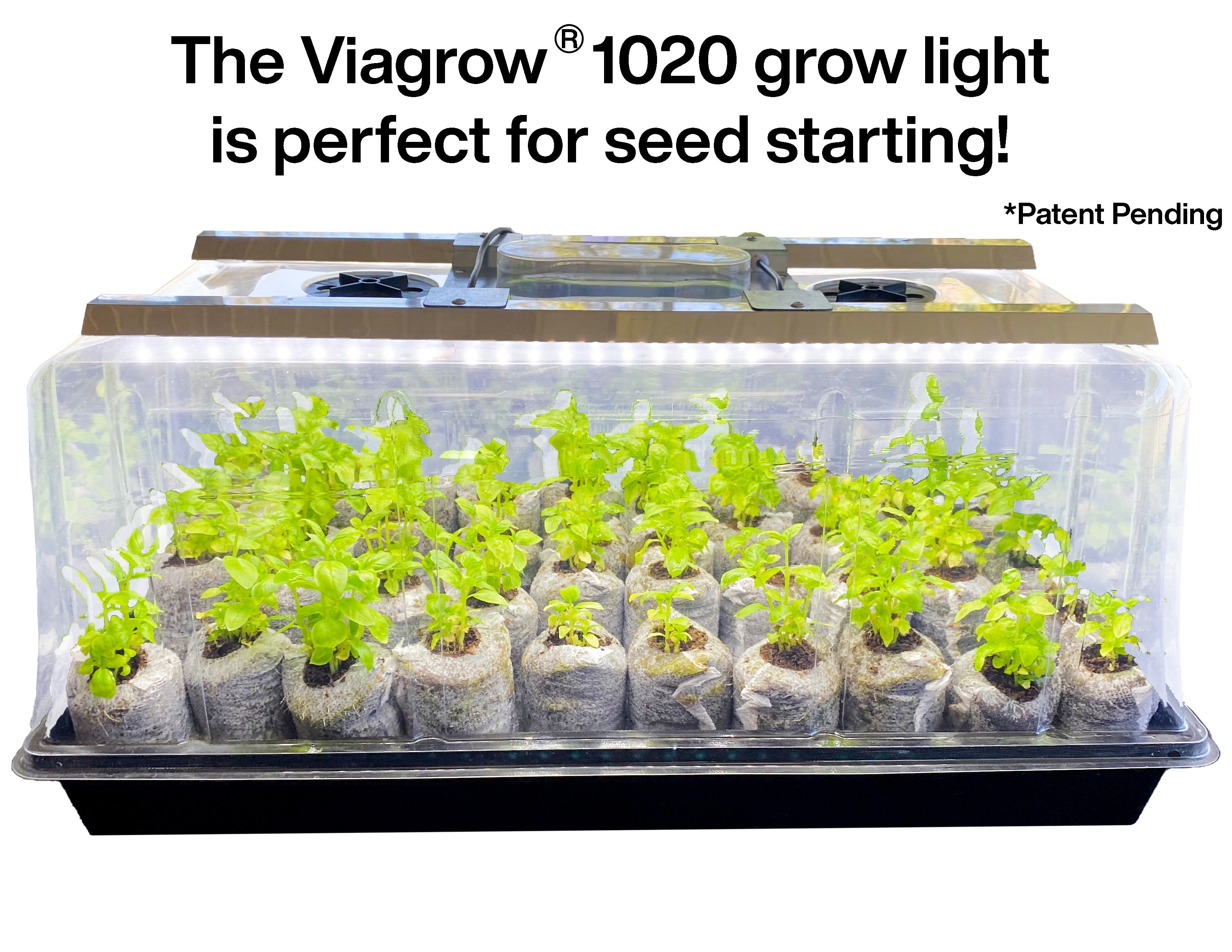 Viagrow Seedling Station Deluxe Kit with LED Grow Light, Propagation Dome, 4x Durable Seedling Tray, 50 Coir Seedling Starters & Heat Mat