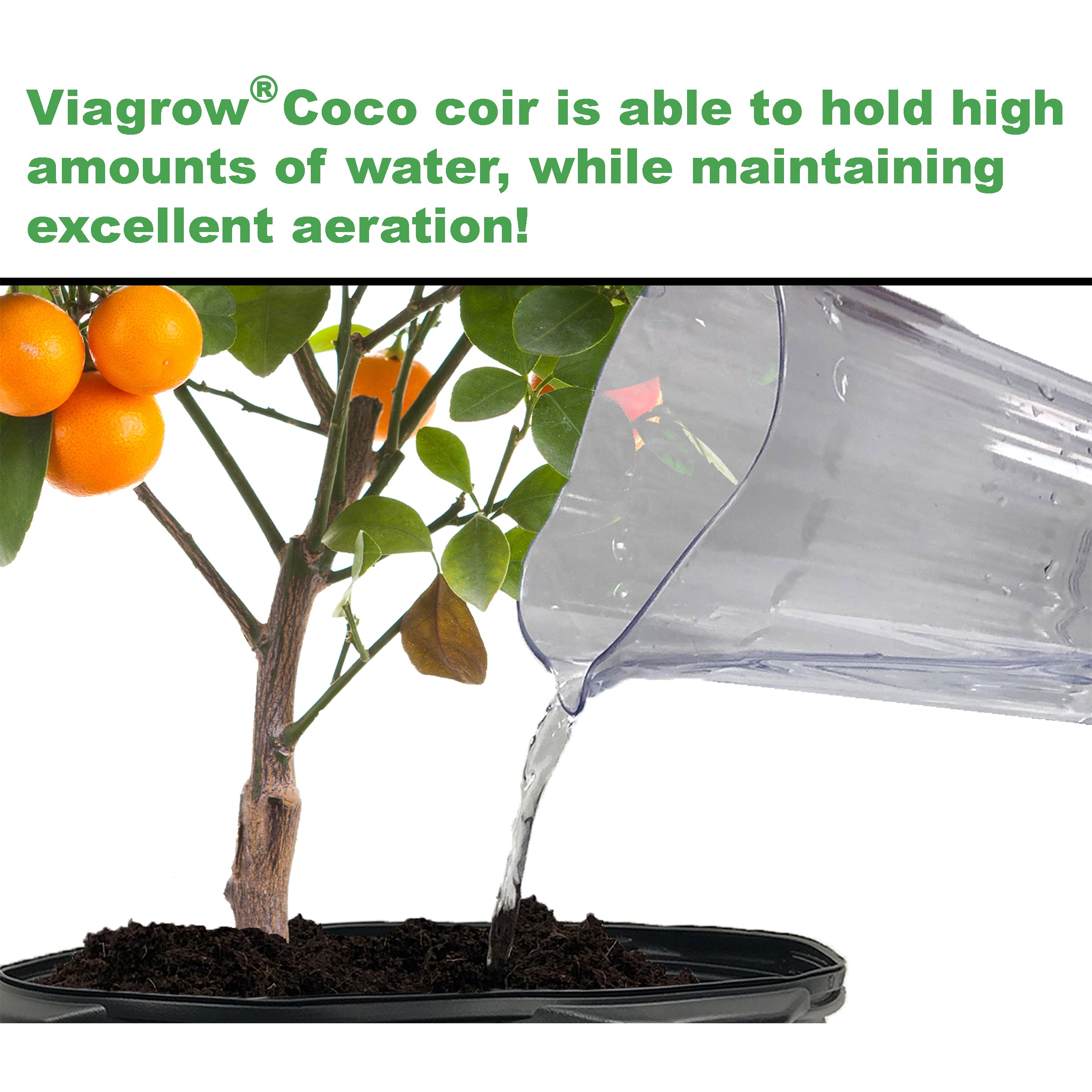 Viagrow 50L Buffered Coconut Coir Soilless Grow Media Bag, Loose