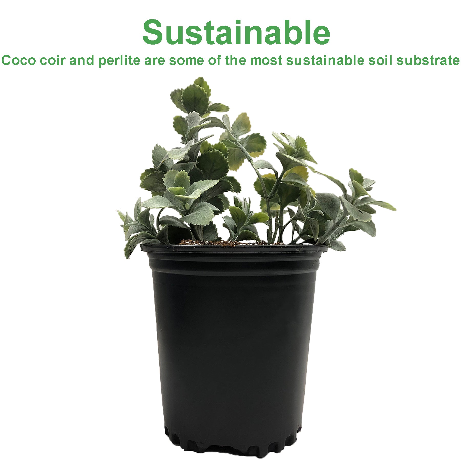 Viagrow Coco Coir Plus Perlite, substrat de culture de qualité supérieure, 70% fibre de coco 30% perlite, résiste au compactage, jardinage intérieur et extérieur 50 litres / 53 pintes / 1,7 pied cube / 13,3 gal / 12 kg, palette de 72 sacs