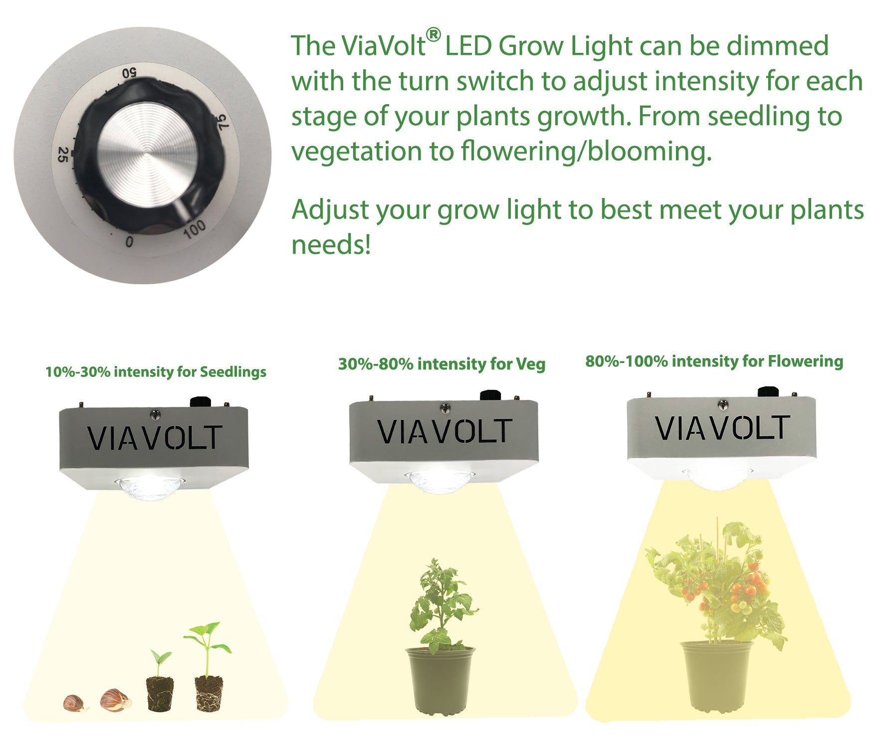 Viavolt 100X LED Grow Light COB with Cree LED Chip and Full Spectrum 6500K / 65w