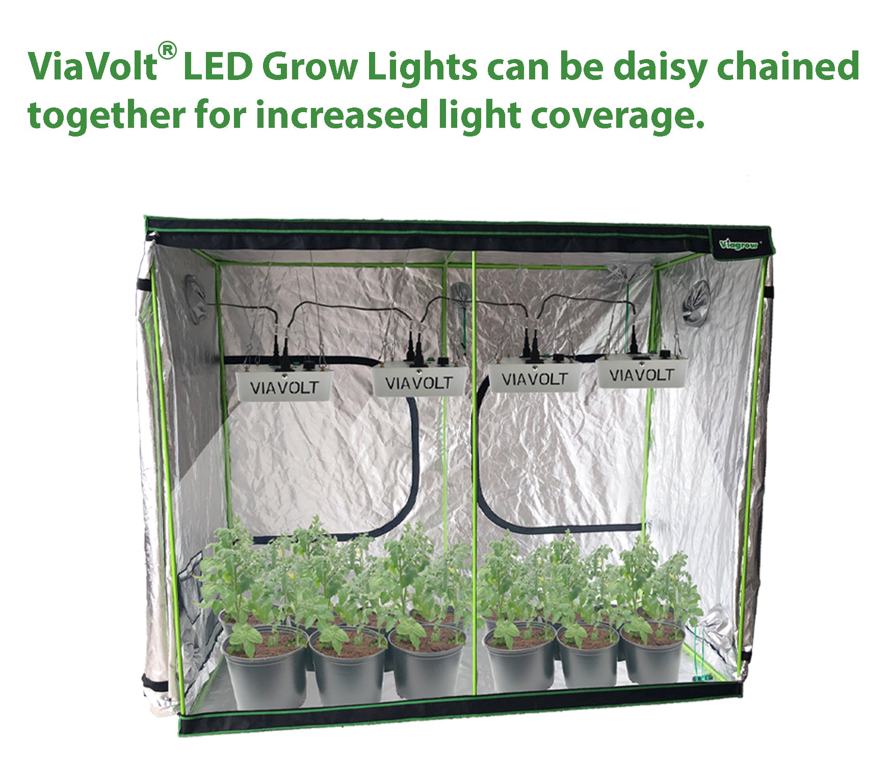 Viavolt 100X LED Grow Light COB with Cree LED Chip and Full Spectrum 6500K / 65w