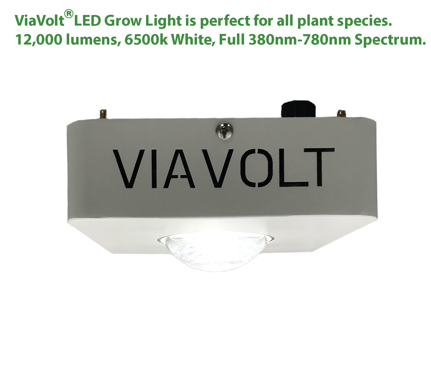 Viavolt 100X LED Grow Light COB with Cree LED Chip and Full Spectrum 6500K / 65w