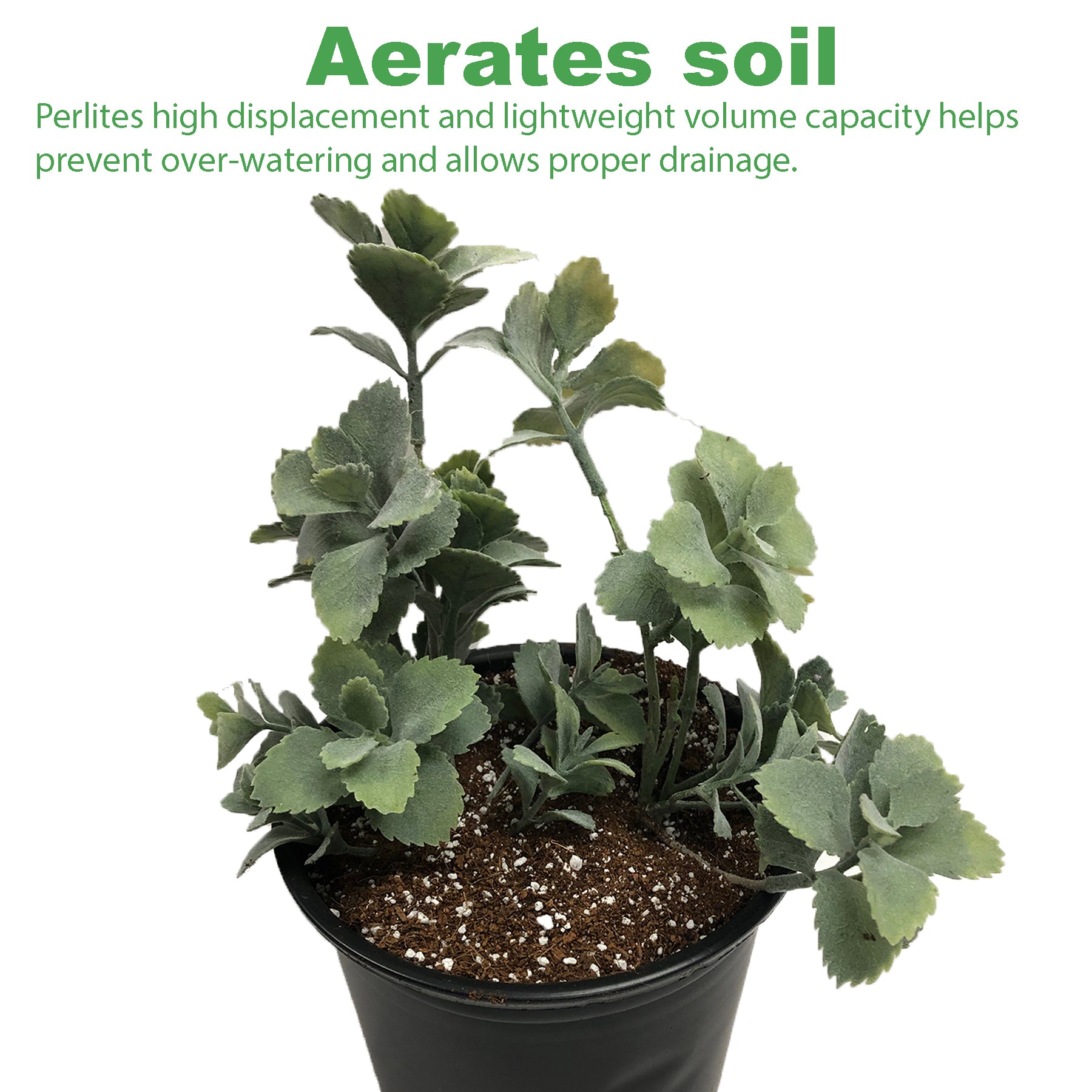 Viagrow 1 cu. ft. Horticultural Perlite White Natural Soil Amendment