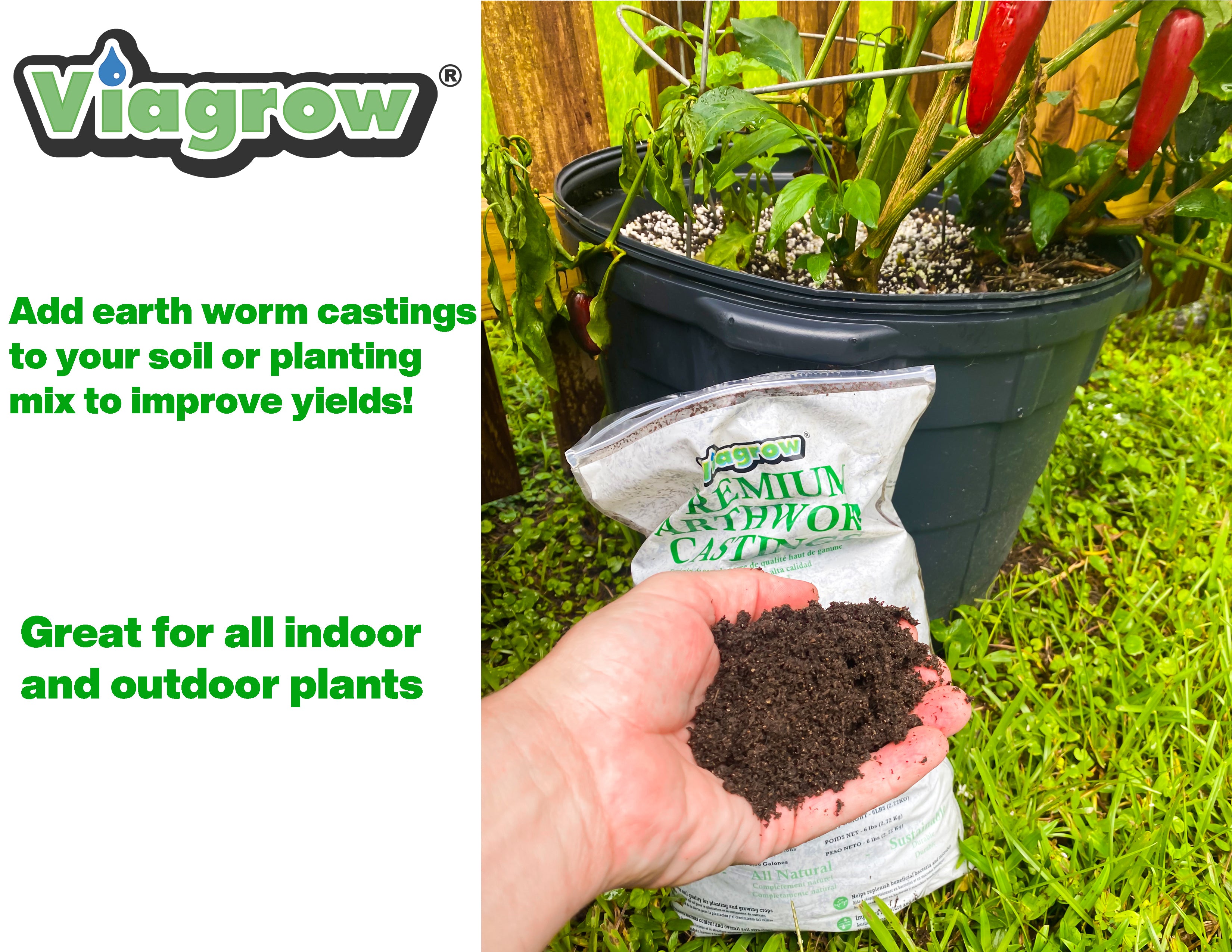 Viagrow 1 lb. Organic Premium Earthworm Castings Natural Soil Builder and Soil Amendment (Packs)